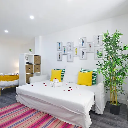 Cozy Center *